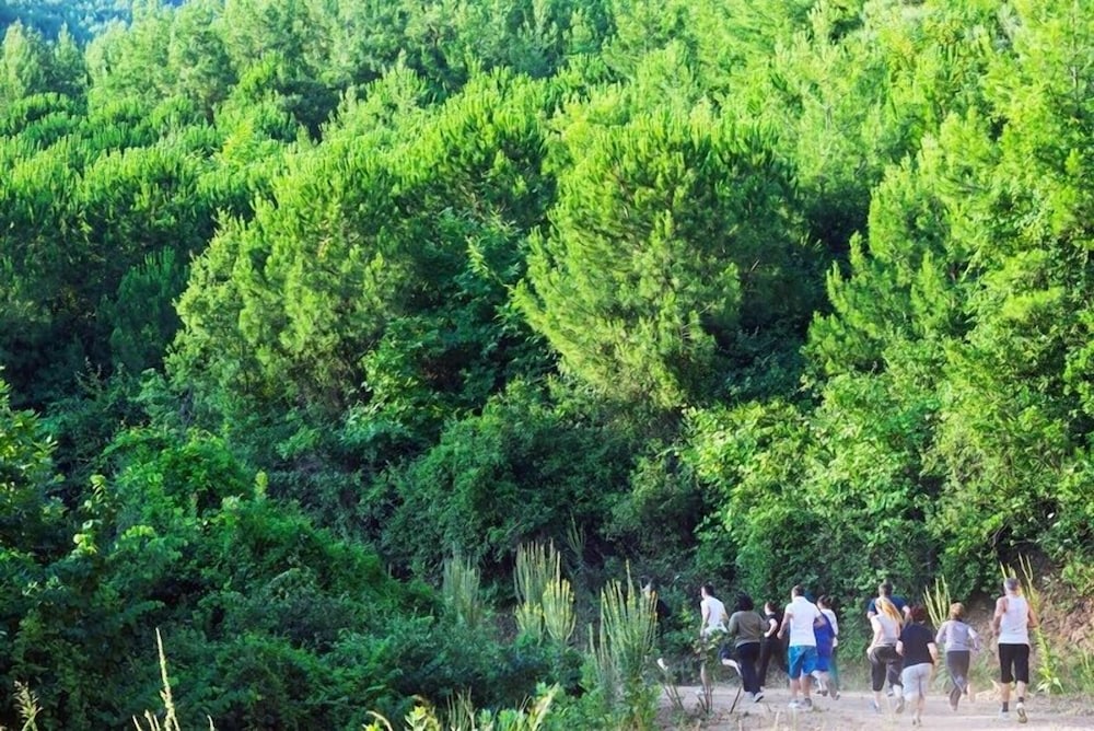 Natur-Med