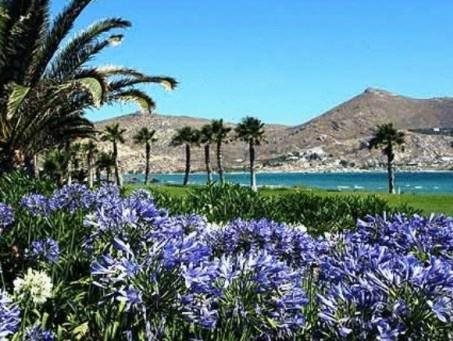 Astir Of Paros