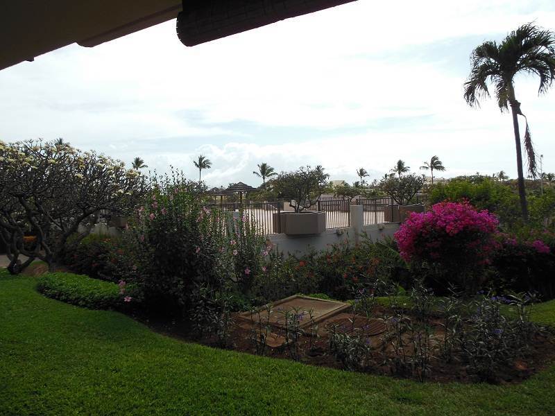 Maui Eldorado