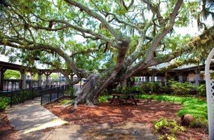 Legacy Vacation Resorts-Palm Coast