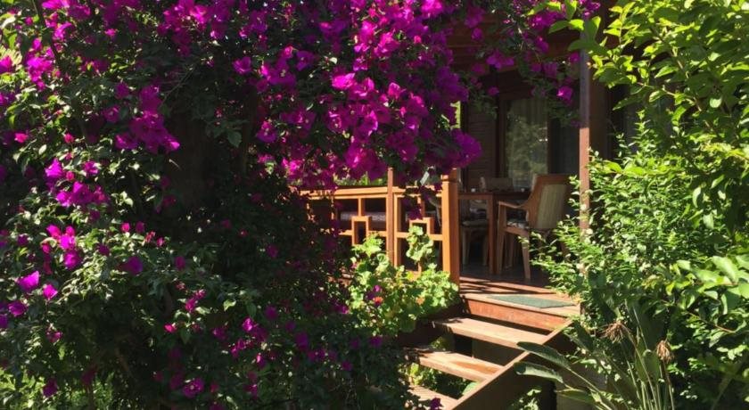 Cirali Villa Zeytin